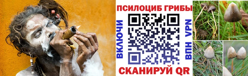Галлюциногенные грибы Magic Shrooms  наркотики  Уржум 